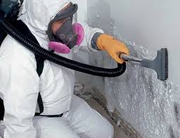 Why You Should Choose Our Mold Remediation Services in Fort Calhoun, NE